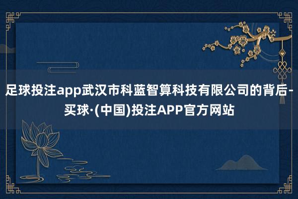 足球投注app武汉市科蓝智算科技有限公司的背后-买球·(中国)投注APP官方网站