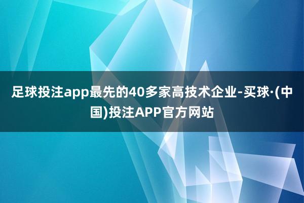 足球投注app最先的40多家高技术企业-买球·(中国)投注APP官方网站