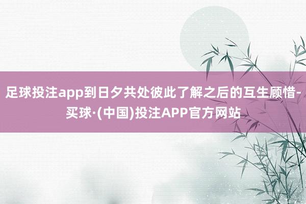 足球投注app到日夕共处彼此了解之后的互生顾惜-买球·(中国)投注APP官方网站