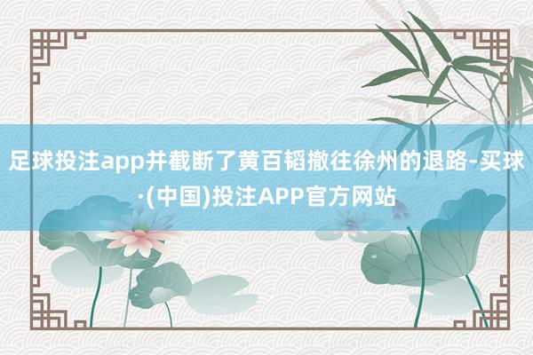 足球投注app并截断了黄百韬撤往徐州的退路-买球·(中国)投注APP官方网站