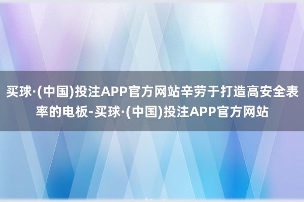 买球·(中国)投注APP官方网站辛劳于打造高安全表率的电板-买球·(中国)投注APP官方网站