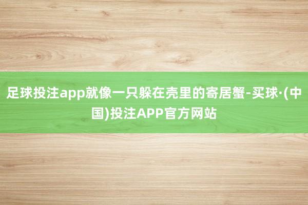 足球投注app就像一只躲在壳里的寄居蟹-买球·(中国)投注APP官方网站