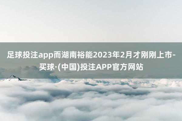 足球投注app而湖南裕能2023年2月才刚刚上市-买球·(中国)投注APP官方网站