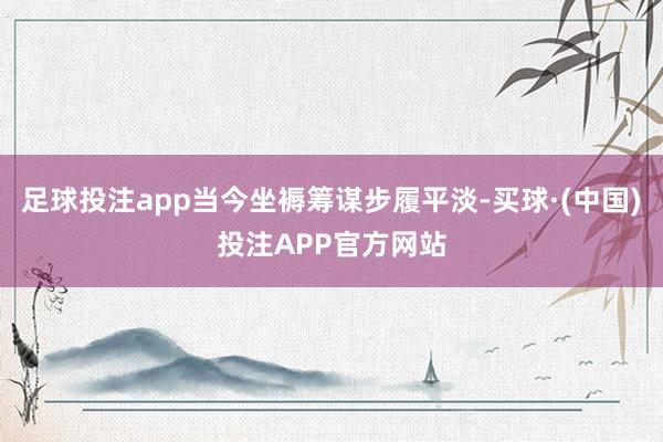 足球投注app当今坐褥筹谋步履平淡-买球·(中国)投注APP官方网站