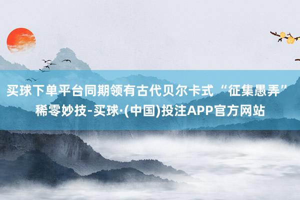 买球下单平台同期领有古代贝尔卡式 “征集愚弄” 稀零妙技-买球·(中国)投注APP官方网站