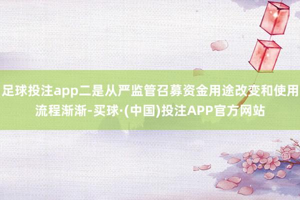 足球投注app二是从严监管召募资金用途改变和使用流程渐渐-买球·(中国)投注APP官方网站