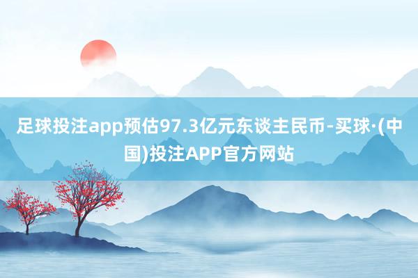 足球投注app预估97.3亿元东谈主民币-买球·(中国)投注APP官方网站