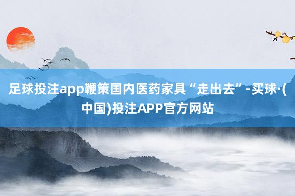 足球投注app鞭策国内医药家具“走出去”-买球·(中国)投注APP官方网站
