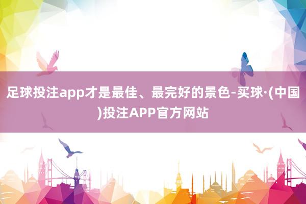 足球投注app才是最佳、最完好的景色-买球·(中国)投注APP官方网站