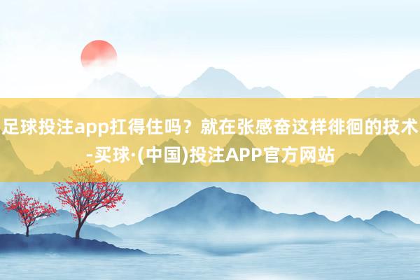 足球投注app扛得住吗？就在张感奋这样徘徊的技术-买球·(中国)投注APP官方网站