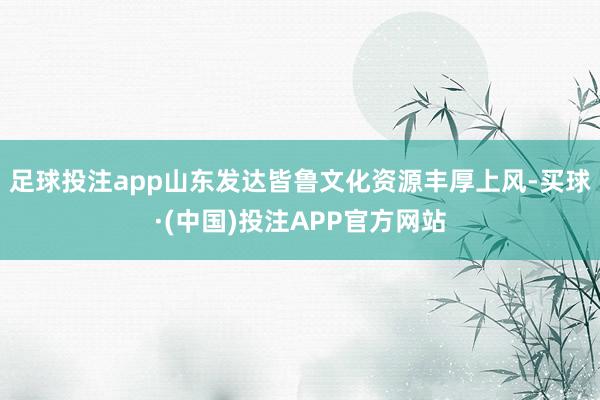 足球投注app山东发达皆鲁文化资源丰厚上风-买球·(中国)投注APP官方网站