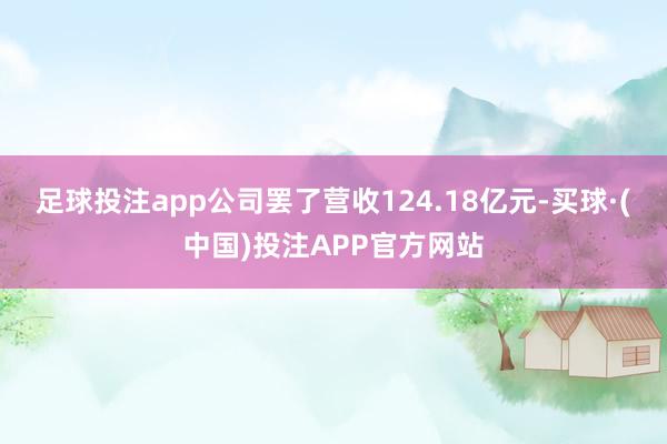 足球投注app公司罢了营收124.18亿元-买球·(中国)投注APP官方网站