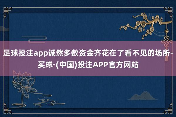 足球投注app诚然多数资金齐花在了看不见的场所-买球·(中国)投注APP官方网站