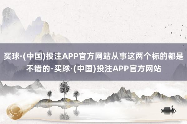 买球·(中国)投注APP官方网站从事这两个标的都是不错的-买球·(中国)投注APP官方网站