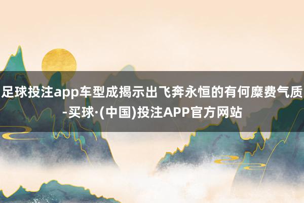 足球投注app车型成揭示出飞奔永恒的有何糜费气质-买球·(中国)投注APP官方网站