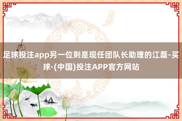 足球投注app另一位则是现任团队长助理的江磊-买球·(中国)投注APP官方网站