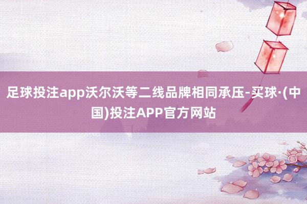 足球投注app沃尔沃等二线品牌相同承压-买球·(中国)投注APP官方网站