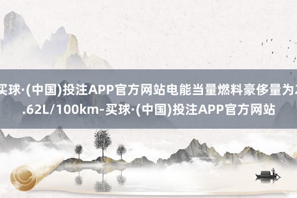 买球·(中国)投注APP官方网站电能当量燃料豪侈量为2.62L/100km-买球·(中国)投注APP官方网站