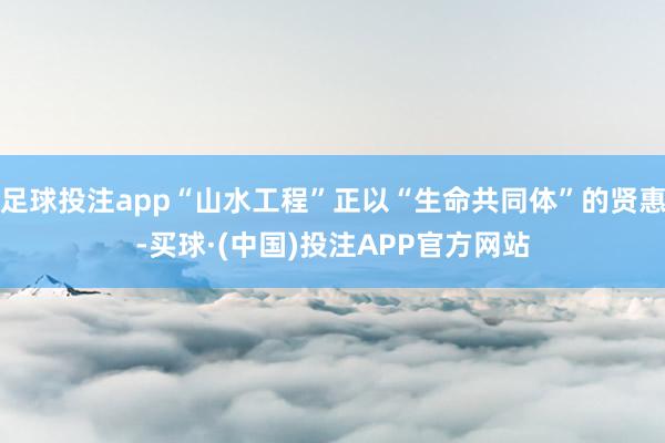 足球投注app“山水工程”正以“生命共同体”的贤惠-买球·(中国)投注APP官方网站