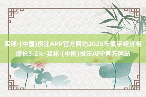 买球·(中国)投注APP官方网站2025年寰宇经济将增长3.2%-买球·(中国)投注APP官方网站
