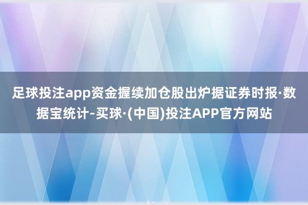 足球投注app  资金握续加仓股出炉  据证券时报·数据宝统计-买球·(中国)投注APP官方网站