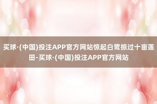 买球·(中国)投注APP官方网站惊起白鹭掠过十亩莲田-买球·(中国)投注APP官方网站