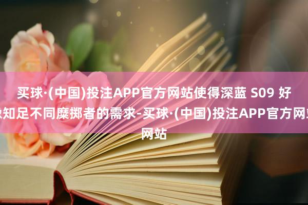 买球·(中国)投注APP官方网站使得深蓝 S09 好像知足不同糜掷者的需求-买球·(中国)投注APP官方网站