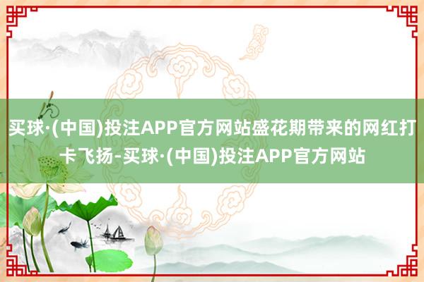 买球·(中国)投注APP官方网站盛花期带来的网红打卡飞扬-买球·(中国)投注APP官方网站