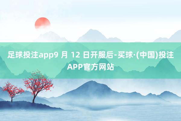 足球投注app9 月 12 日开服后-买球·(中国)投注APP官方网站