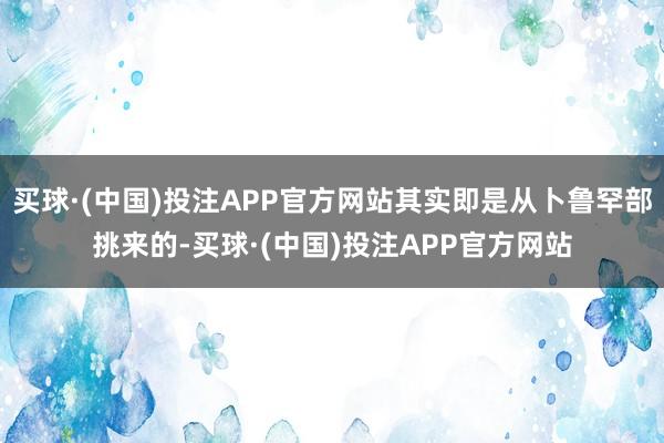 买球·(中国)投注APP官方网站其实即是从卜鲁罕部挑来的-买球·(中国)投注APP官方网站