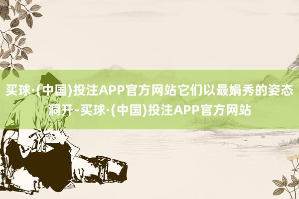 买球·(中国)投注APP官方网站它们以最娟秀的姿态洞开-买球·(中国)投注APP官方网站