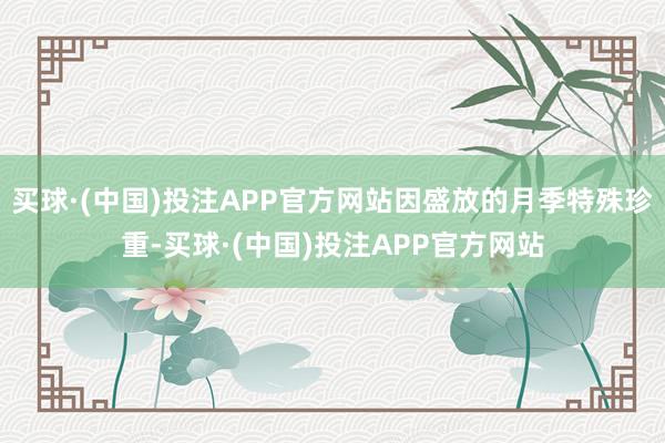 买球·(中国)投注APP官方网站因盛放的月季特殊珍重-买球·(中国)投注APP官方网站