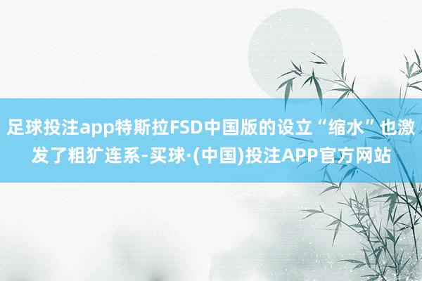 足球投注app特斯拉FSD中国版的设立“缩水”也激发了粗犷连系-买球·(中国)投注APP官方网站