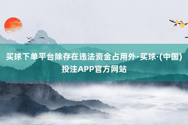 买球下单平台除存在违法资金占用外-买球·(中国)投注APP官方网站