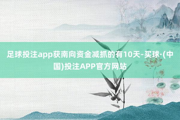 足球投注app获南向资金减抓的有10天-买球·(中国)投注APP官方网站