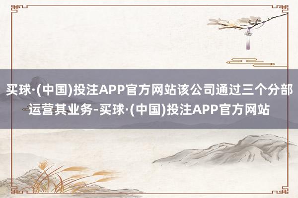 买球·(中国)投注APP官方网站该公司通过三个分部运营其业务-买球·(中国)投注APP官方网站