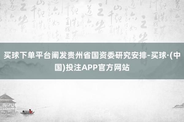 买球下单平台阐发贵州省国资委研究安排-买球·(中国)投注APP官方网站