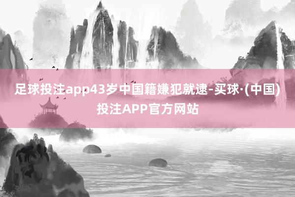 足球投注app43岁中国籍嫌犯就逮-买球·(中国)投注APP官方网站