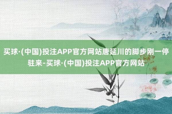 买球·(中国)投注APP官方网站唐延川的脚步刚一停驻来-买球·(中国)投注APP官方网站