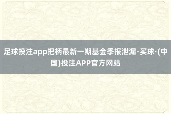 足球投注app把柄最新一期基金季报泄漏-买球·(中国)投注APP官方网站