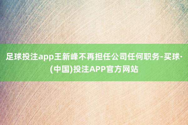 足球投注app王新峰不再担任公司任何职务-买球·(中国)投注APP官方网站