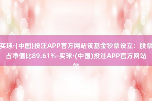 买球·(中国)投注APP官方网站该基金钞票设立：股票占净值比89.61%-买球·(中国)投注APP官方网站