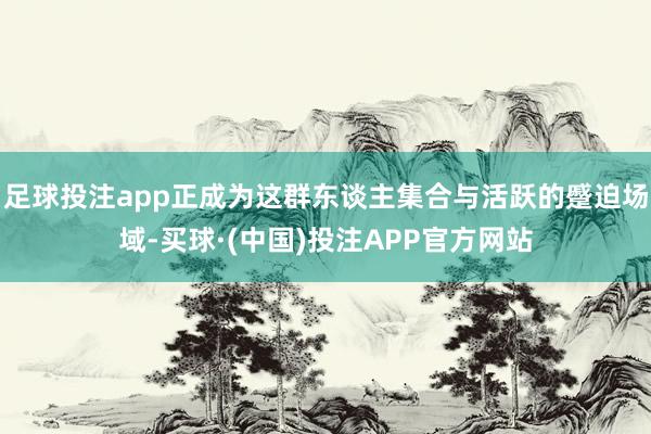 足球投注app正成为这群东谈主集合与活跃的蹙迫场域-买球·(中国)投注APP官方网站