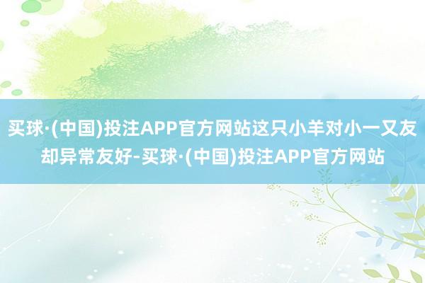 买球·(中国)投注APP官方网站这只小羊对小一又友却异常友好-买球·(中国)投注APP官方网站
