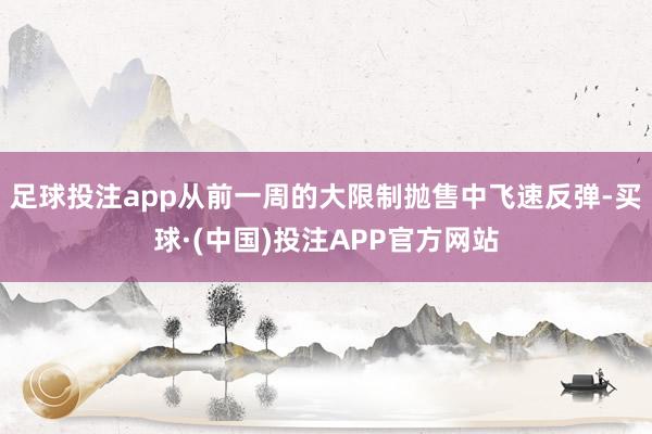 足球投注app从前一周的大限制抛售中飞速反弹-买球·(中国)投注APP官方网站