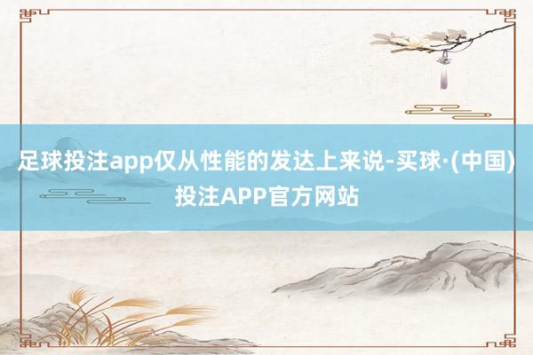足球投注app仅从性能的发达上来说-买球·(中国)投注APP官方网站
