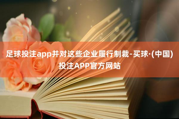 足球投注app并对这些企业履行制裁-买球·(中国)投注APP官方网站