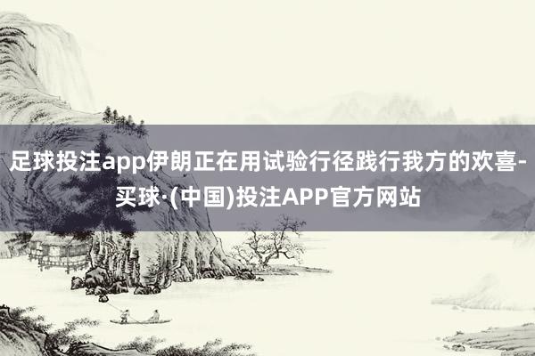 足球投注app伊朗正在用试验行径践行我方的欢喜-买球·(中国)投注APP官方网站