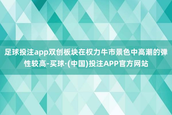 足球投注app 双创板块在权力牛市景色中高潮的弹性较高-买球·(中国)投注APP官方网站
