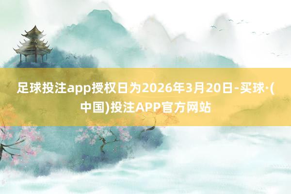 足球投注app授权日为2026年3月20日-买球·(中国)投注APP官方网站